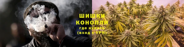 ешки Бронницы