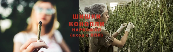 ешки Бронницы