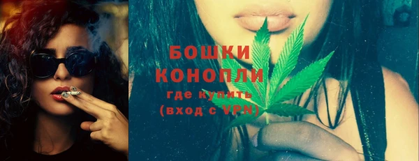 сатива Бугульма