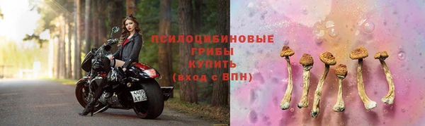 круглые Бородино