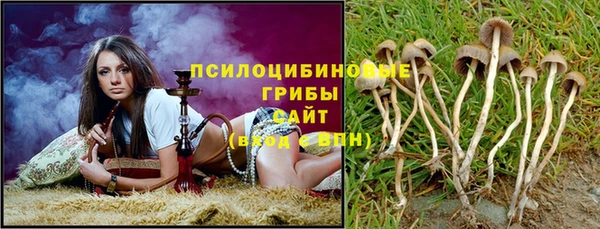 круглые Бородино