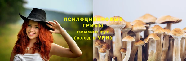 круглые Бородино