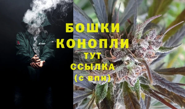 сатива Бугульма