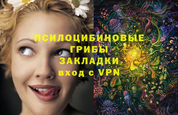 ешки Бронницы