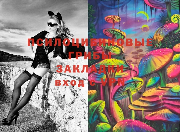 ешки Бронницы
