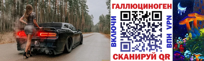 купить  сайты  Короча  Галлюциногенные грибы GOLDEN TEACHER 