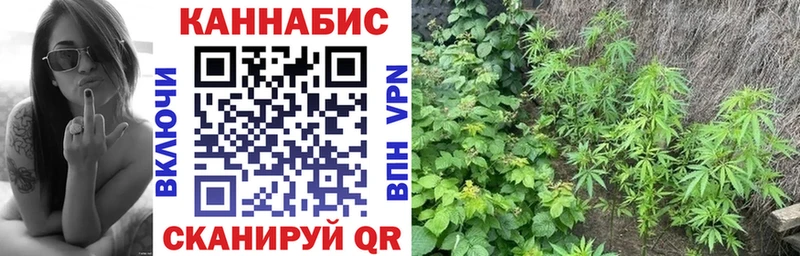 МЕГА ТОР  Короча  Канабис планчик 